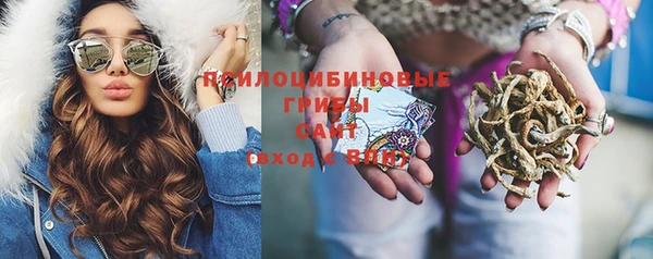 мескалин Алексин
